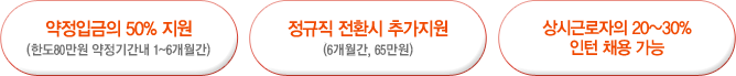 약정입금의 50%지원(한도 80만원, 6개월간), 정규직 전환시 추가지원(6개월간, 65만원), 상시근로자의 20~30% 인턴채용 가능