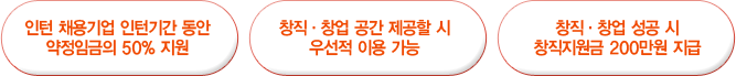 인턴채용기업 6개월간 약정임금의 50%지원, 창직·창업 공간 제공할 시 우선적 이용가능, 창직·창업 성공한 인턴 참여자 1인당 200만원 보수 지급